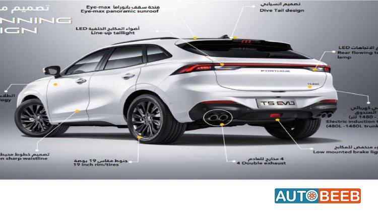 Dongfeng Forthing 2024